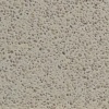 Beige Light 0002